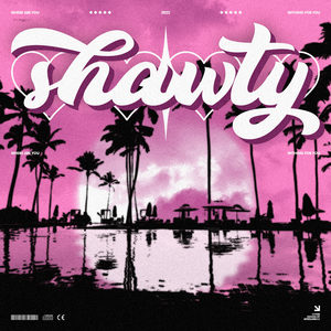 人妻毛片A一级毛片免费看
