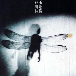 人妻毛片A一级毛片免费看
